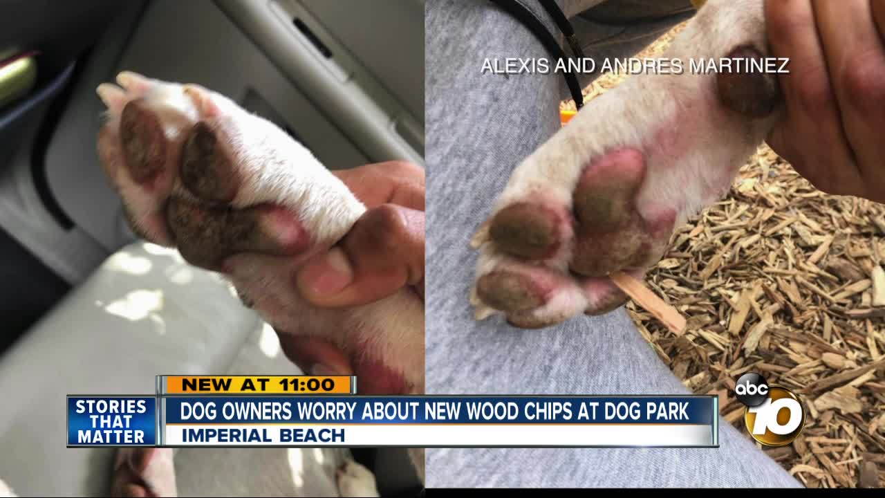 Imperial Beach dog owners upset about wood chips at dog park