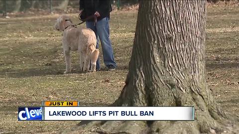 Lakewood lifts put bull ban