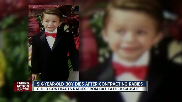 6-year-old Florida boy dies of rabies after being scratched by bat