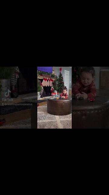 #shorts by #tinyjuniorpeanut at #activatestudio