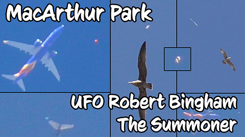 MacArthur Park | UFO Robert Bingham, The Summoner