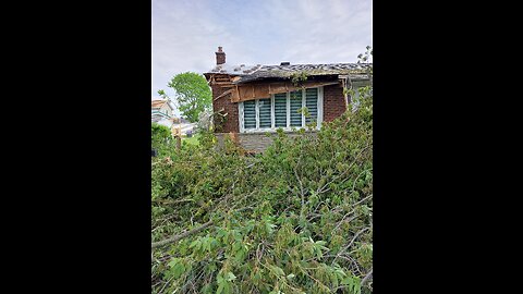 Ottawa derecho storm cleanup.