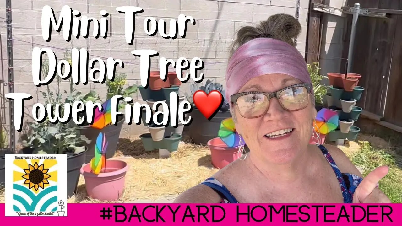 Mini Garden Tour l Dollar Tree towers Part 2 l loving my garden💞