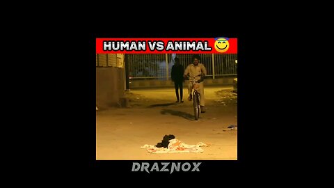 funny viral short vido human vs animal