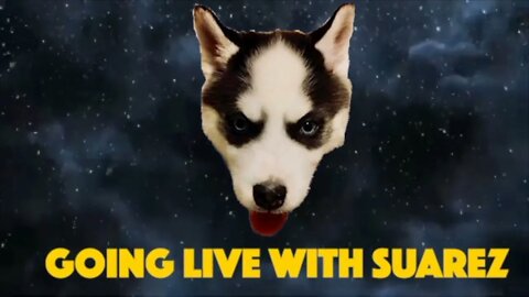 #shorts #subscribe #intro #gls #podcast #husky