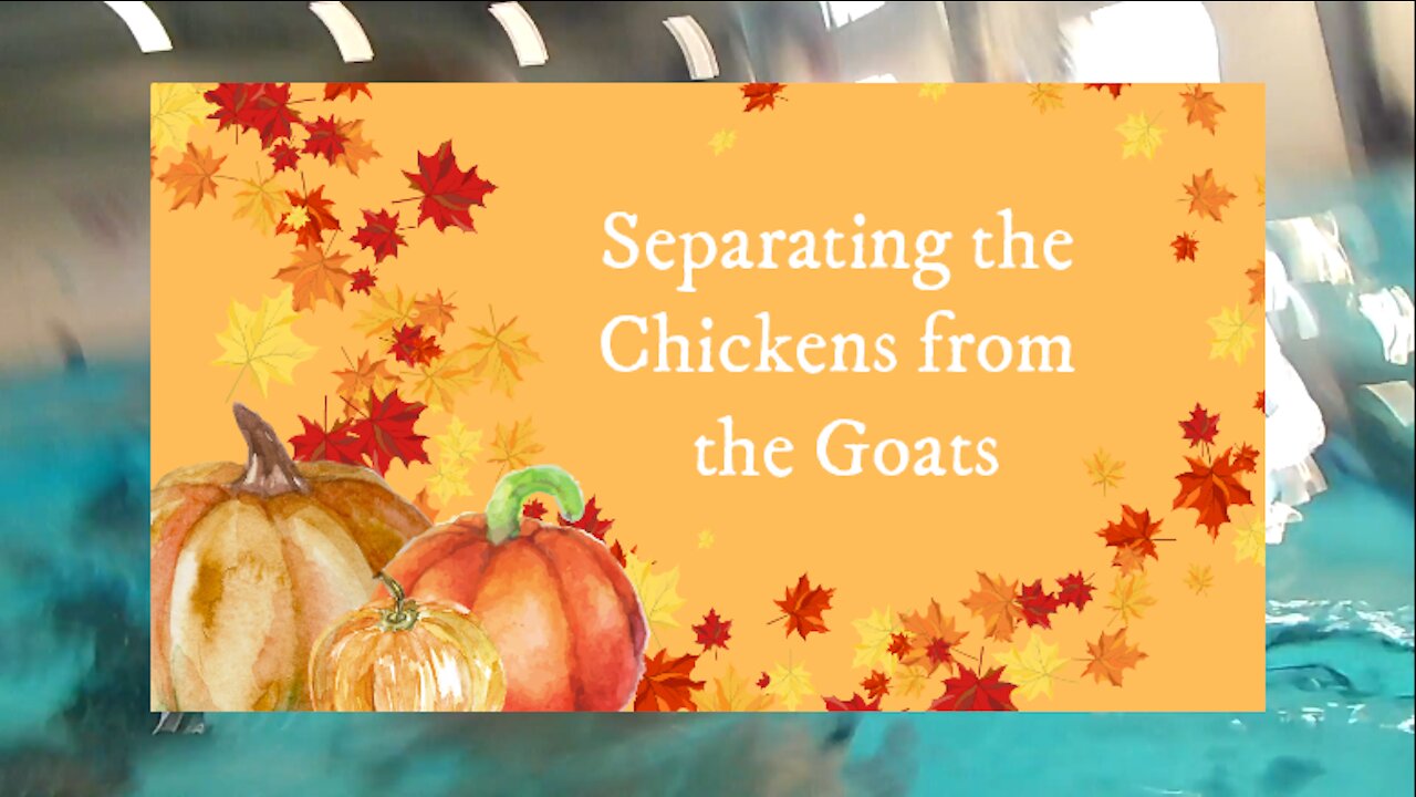 Separating the Chickens from the Goats