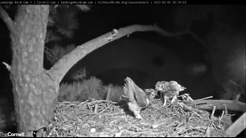 Dad Brings Dinner to Mom 🦉 2/5/22 20:18