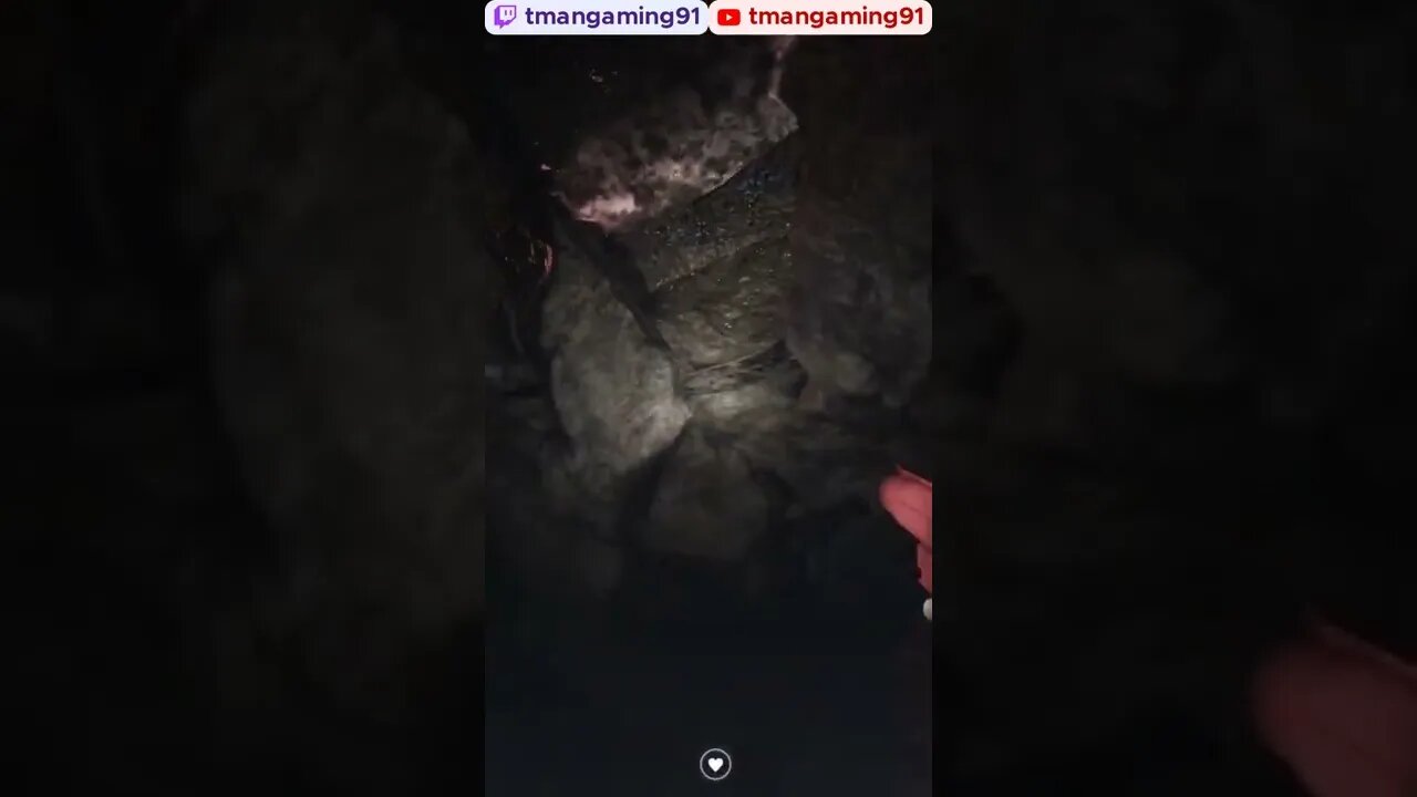 Hit So Hard My Game Crashed