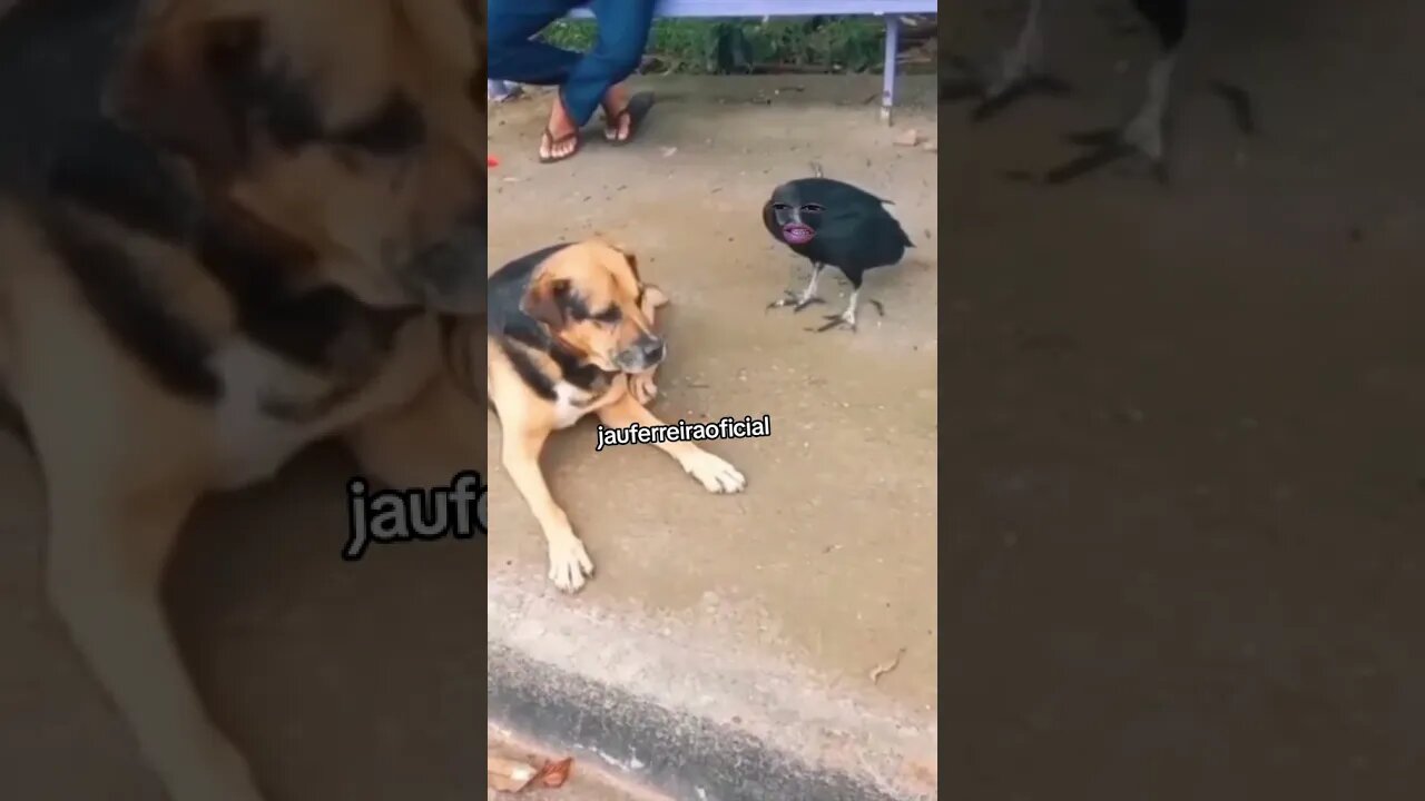 urubunildo