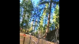 Ziplining At Evergreen Lodge Yosemite 🤣🤣