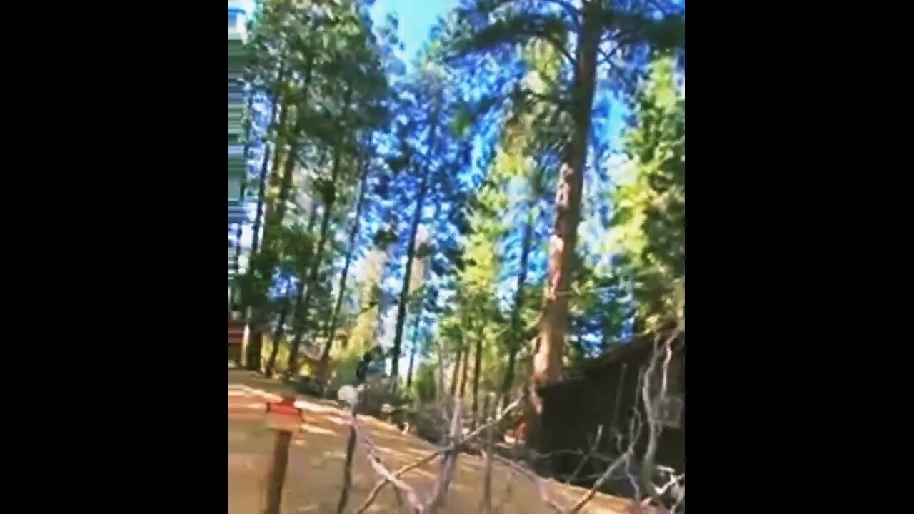 Ziplining At Evergreen Lodge Yosemite 🤣🤣