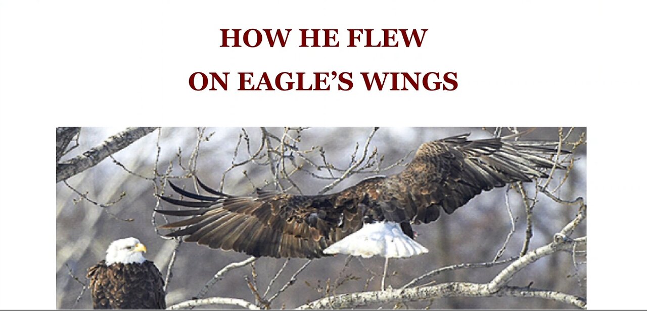 How He Flew on Eagle's Wings