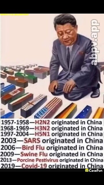 AMERICA IS HIJACKED🇺🇸🎭🏛️⚠️🗽AND TAKEN OVER BY A FOREIGN ENTITY CCP CHINA☣️⛩️🐚💫