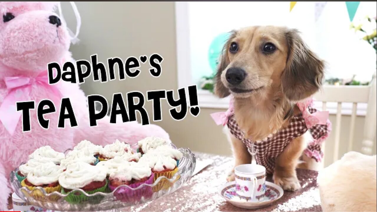 Ep#14: Daphne Hosts a (CRAZY) Tea Party -