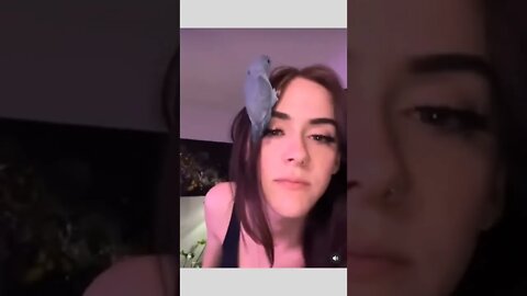 Perfect landing.. 🐦😅