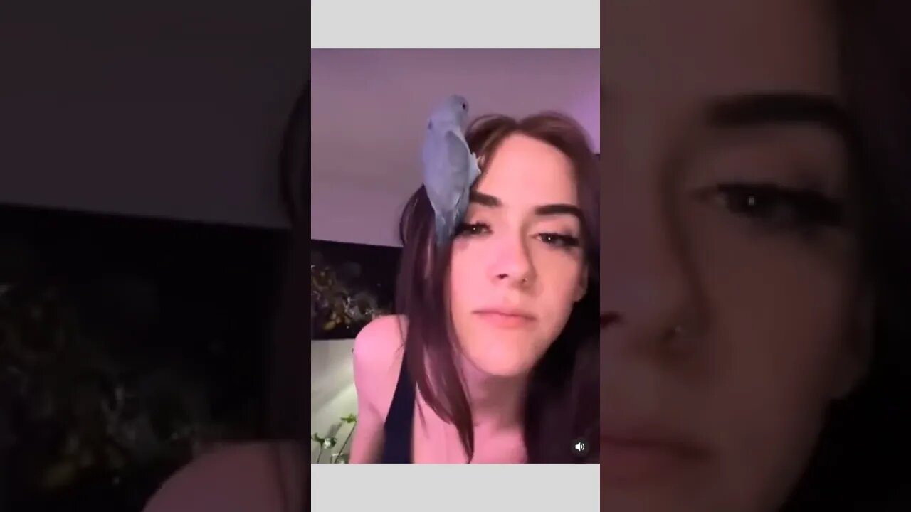 Perfect landing.. 🐦😅