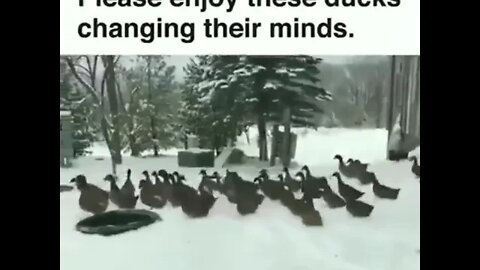 Winter is too cold , lets come back