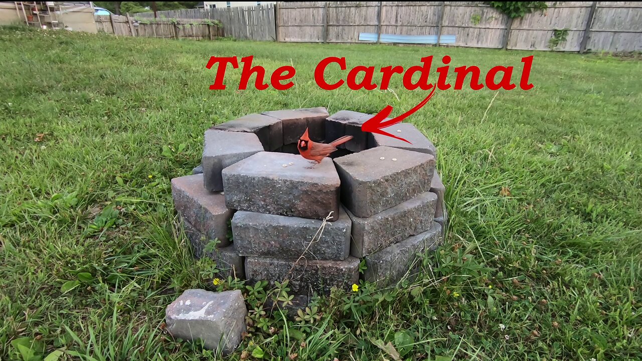 The Cardinal