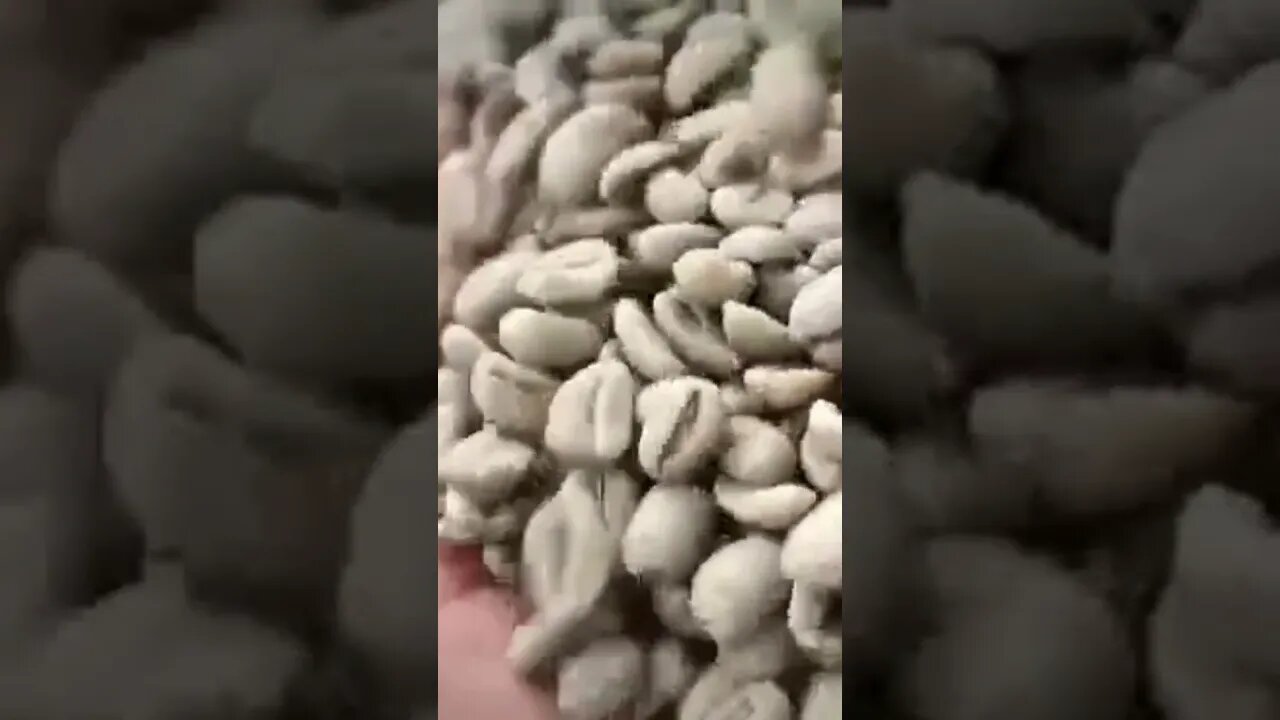 short video of how coffee is been made
