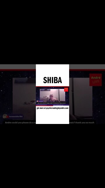 Shiba