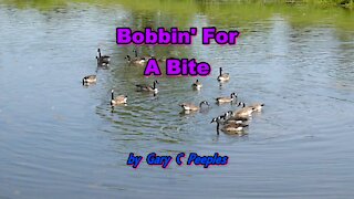 Bobbin’ For A Bite by Gary C Peeples