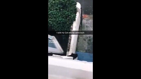 Shitpost 2