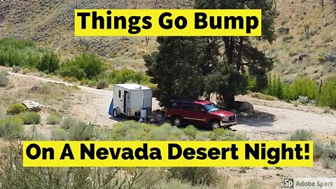 Things Go Bump On A Nevada Desert Night!