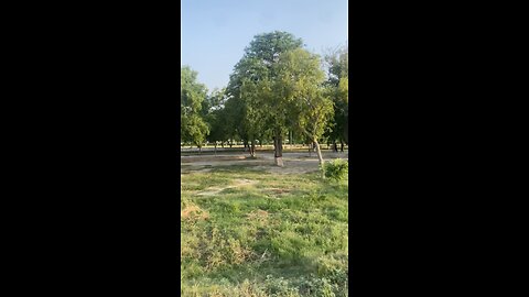 CHOR DY SARI DUNIYA KISI KY LIYE 💯 #viralvideo #trendingtiktok #❤️ #video #viraltiktok #trending