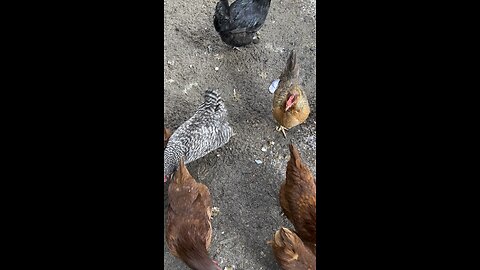 Chicken McNuggets