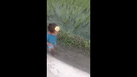 bachpan
