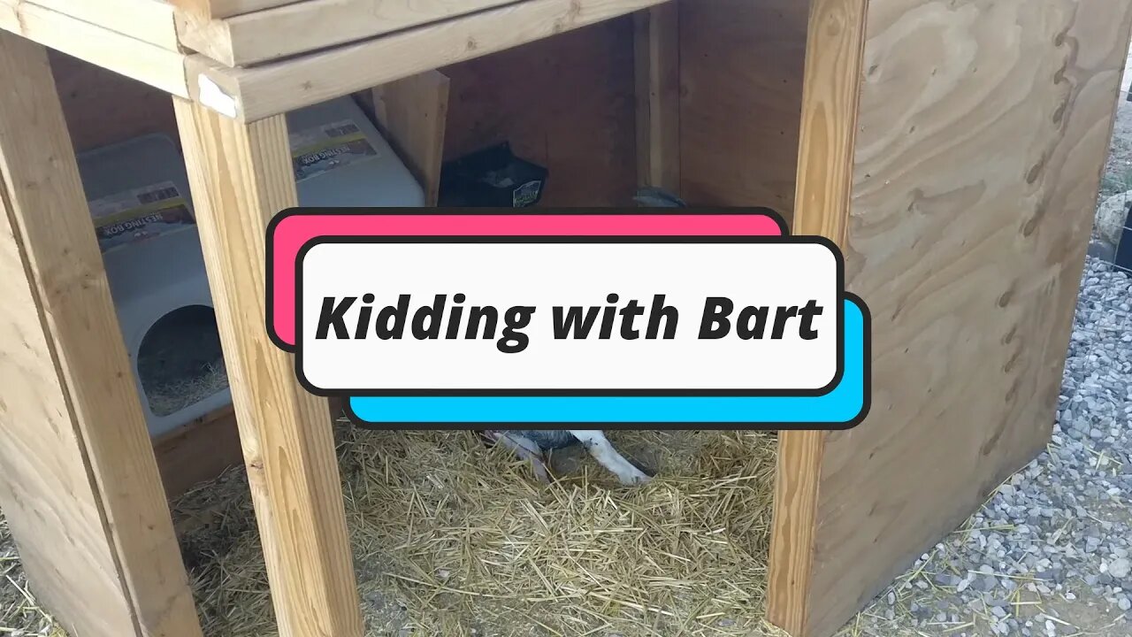 Kidding with Bart
