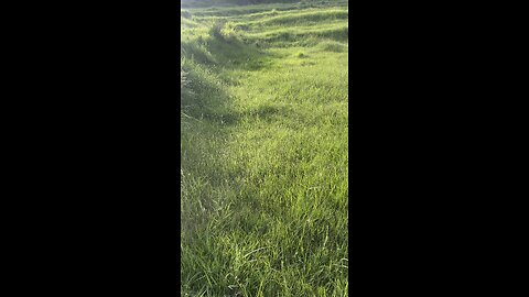 Relaxing Video 😍