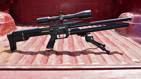 Umarex Zelos Day 2 Shot Count & Accuracy