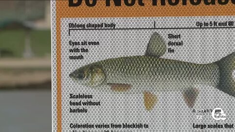 New method proves effective to decrease invasive species in Lake Erie