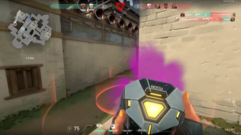 Trick Shots?