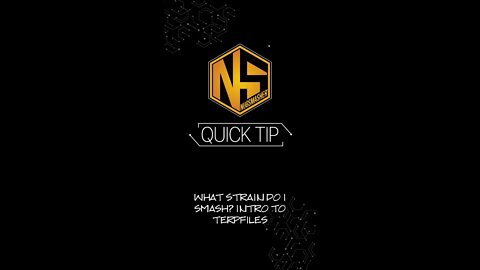 WHAT STRAIN DO I SMASH? INTRO TO TERPFILES QUICK TIP #rosin #nugsmasher #shorts #quicktip