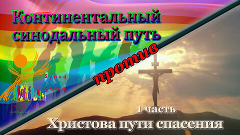 ВВП: Континентальный синодальный путь против Христова пути спасения /1 часть/