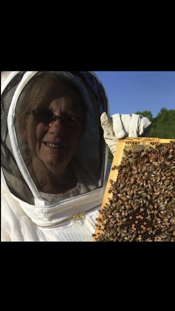 Surprise, Surprise!! Only a Few More Hours Before We Visit Hives And...