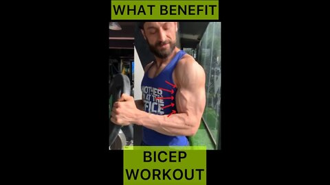PLATE CURLS | BICEP WORKOUT #shorts #youtubeshorts