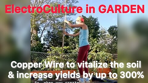ElectroCulture in GARDEN - using copper wire to vitalize the soil & increase yields by up to 300%