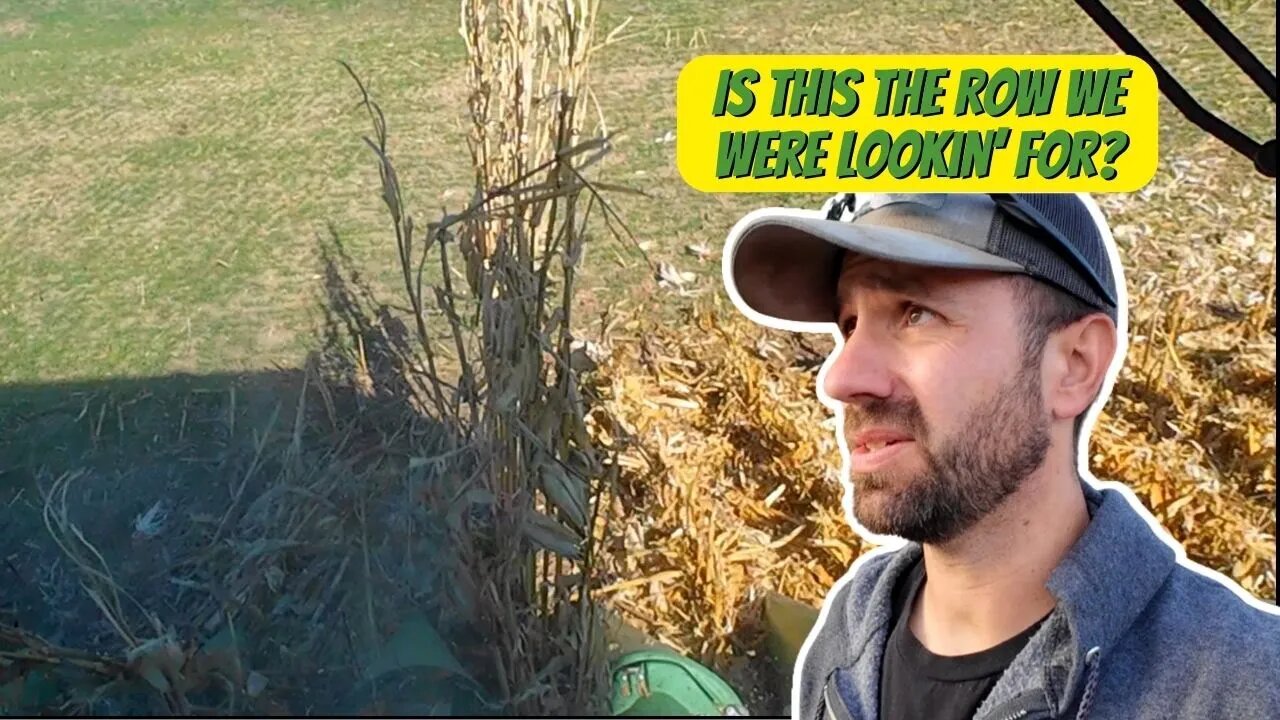 Harvest Done | Fields Cleared, Hearts Cheer!