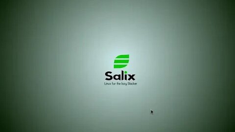 Salix 'Fluxbox' 14.2, two weeks on and a look at update functionality...