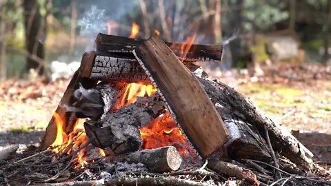 PBN Clips: 19th Century Skills for SHTF with Karl B on the Strange Truth