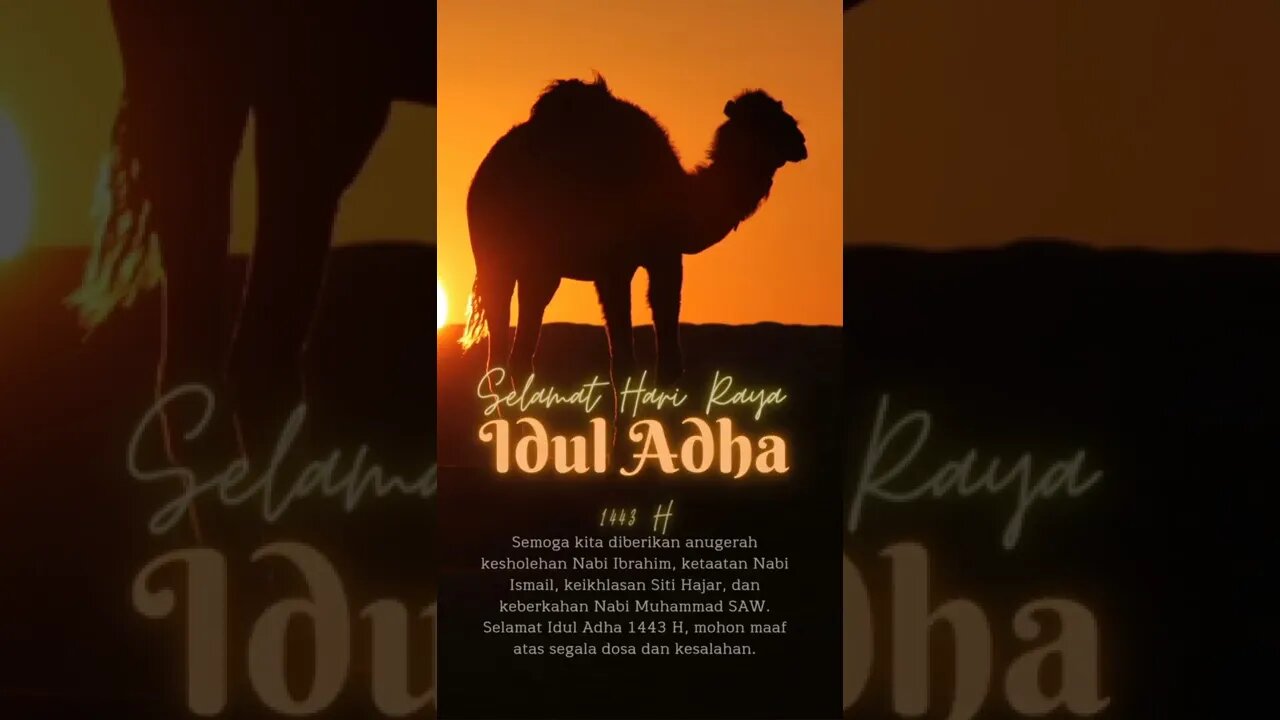 Selamat Hari Raya Idul Adha 1443 H #shorts #story