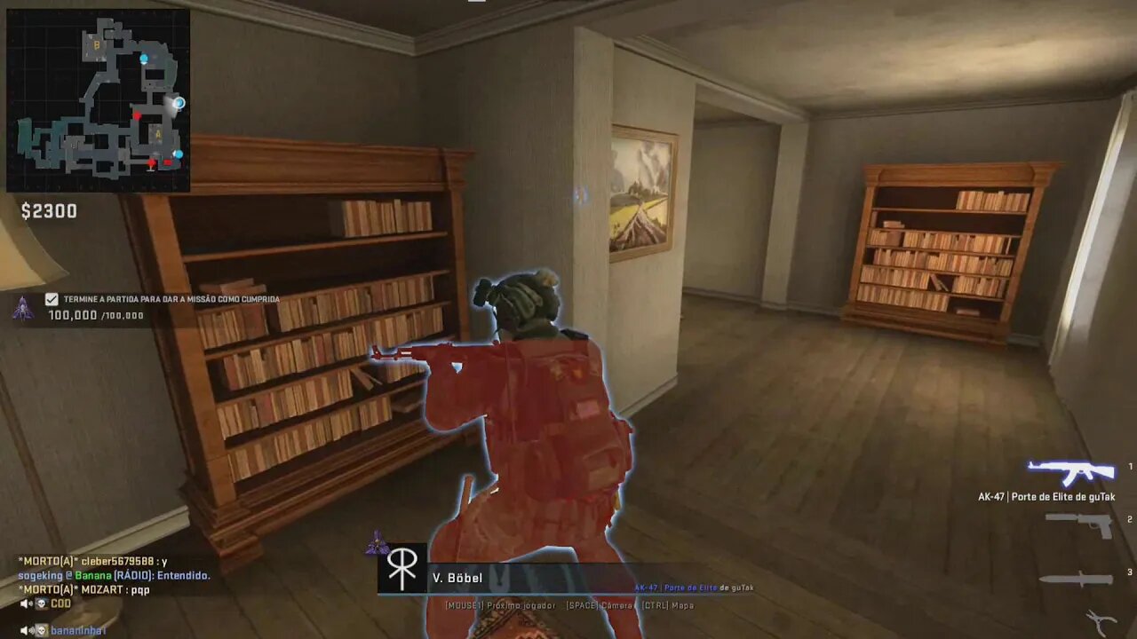 CSGO.AVI