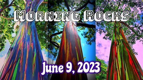 🌄 Morning Rocks - 6.9.23 🐟