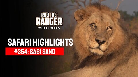 Safari Highlights #354: 30 Jul - 02 Aug 2015 | Sabi Sand Nature Reserve | Latest Wildlife Sightings
