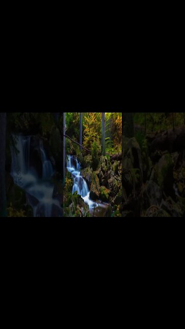 Fun Vibe Tracks #shorts #music #relaxsation #calm