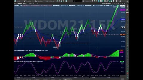 O MELHOR SETUP RENKO + MACD MÍNI ÍNDICE E MÍNI DÓLAR, CRIADO PELO PROF HENRIQUE CANAL VIVER DE TRADE