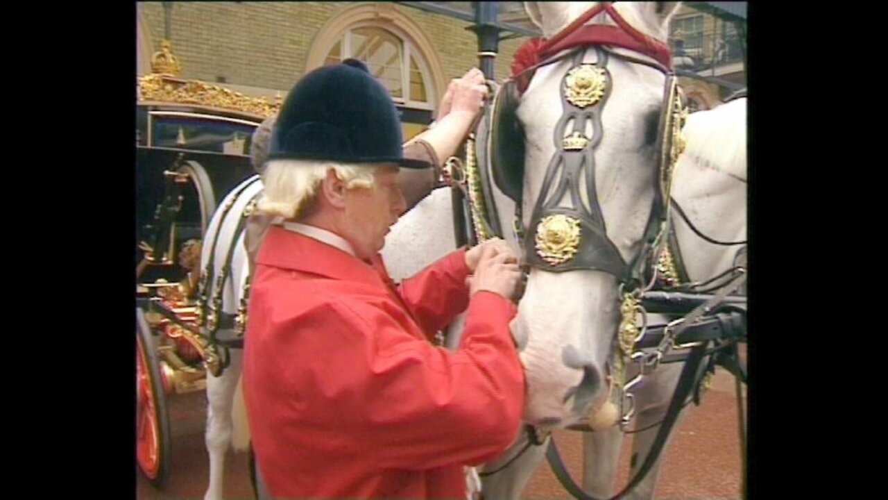 The Queens Horses